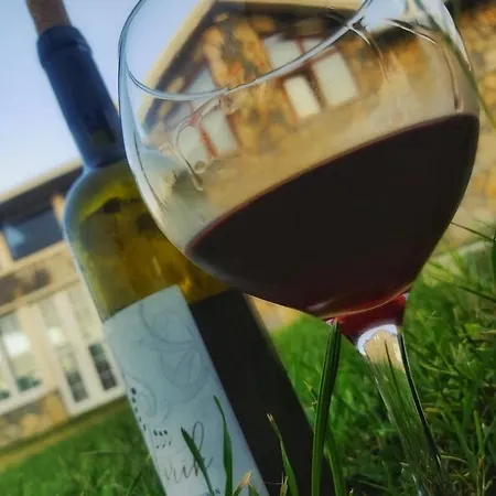 Blacksea Отель типа 